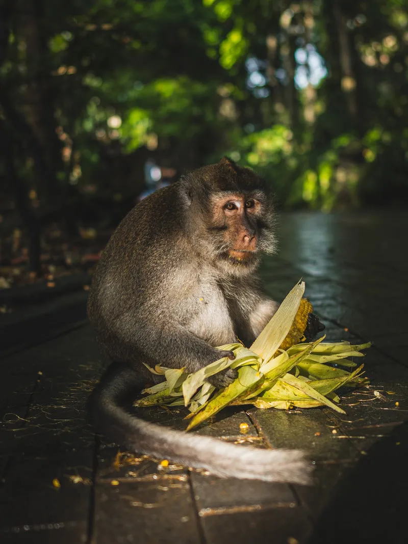 Photo from bali