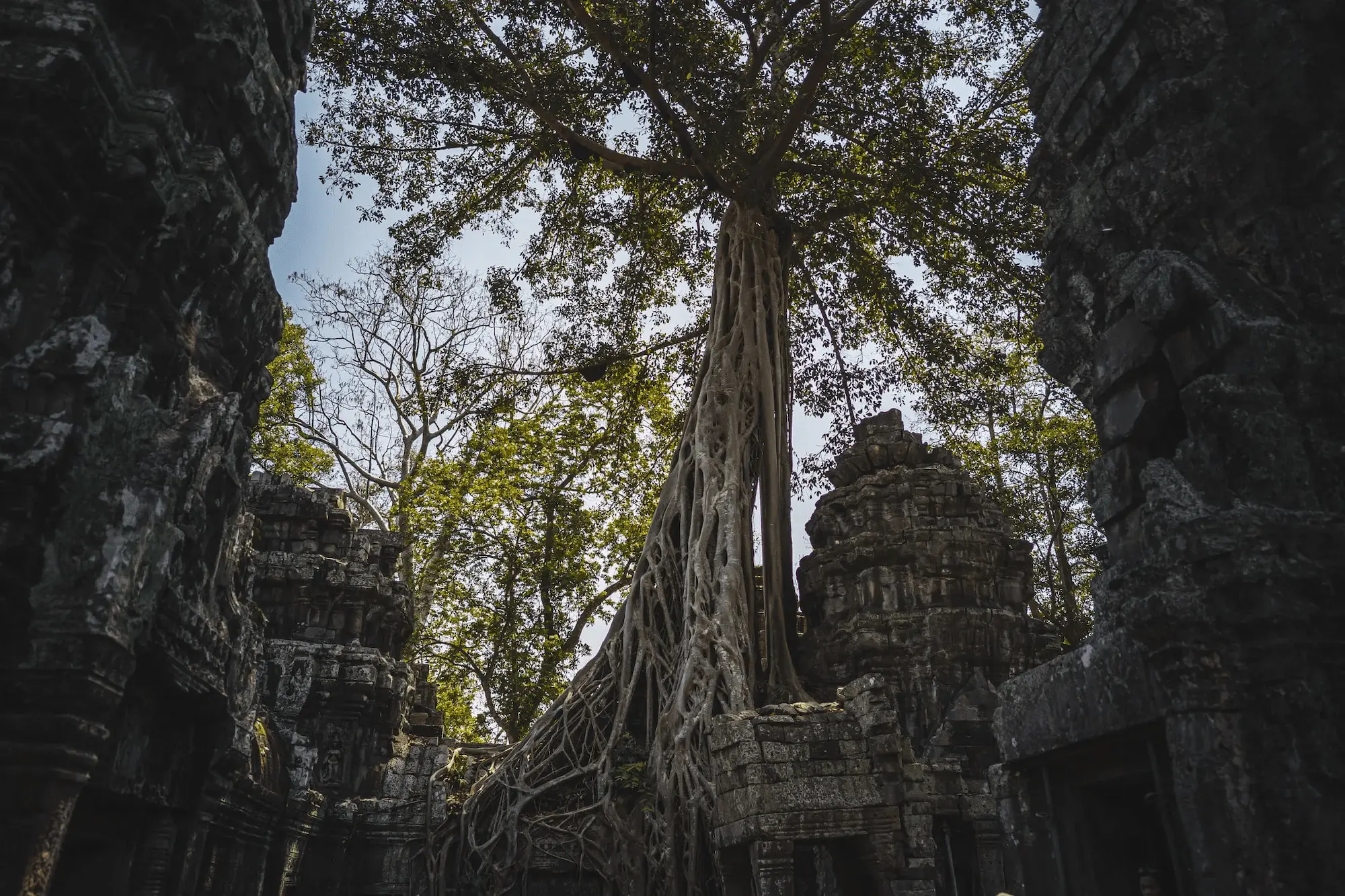 Photo from cambodia