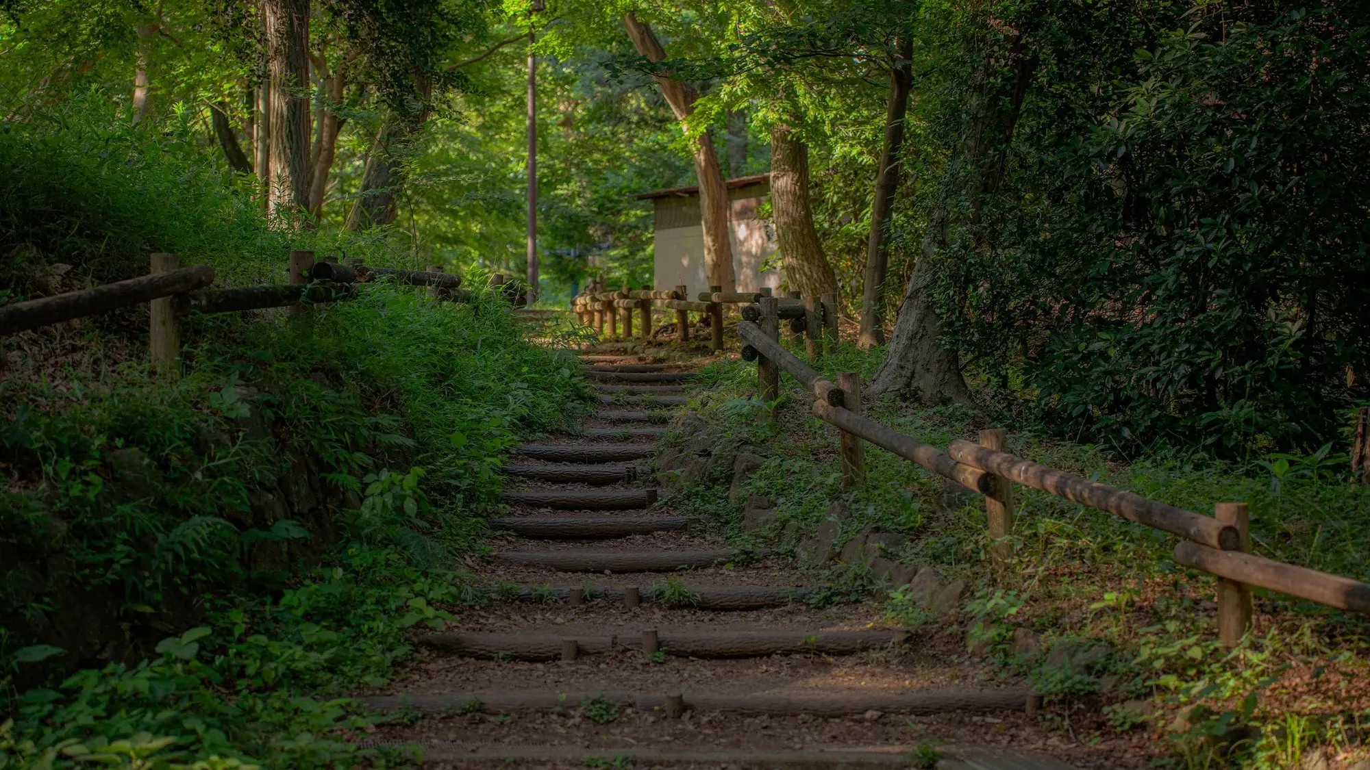 Photograph from japan