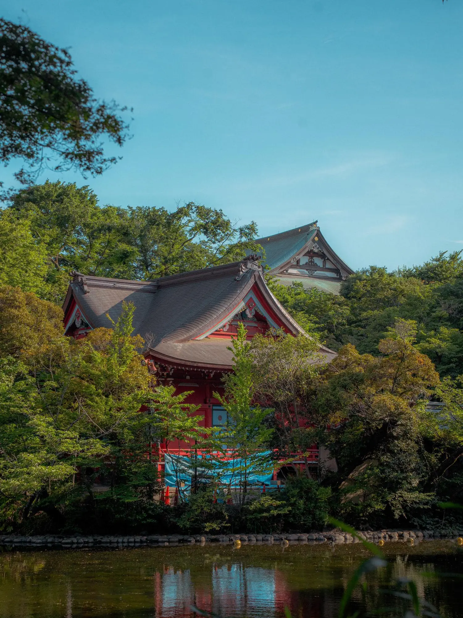Photograph from japan