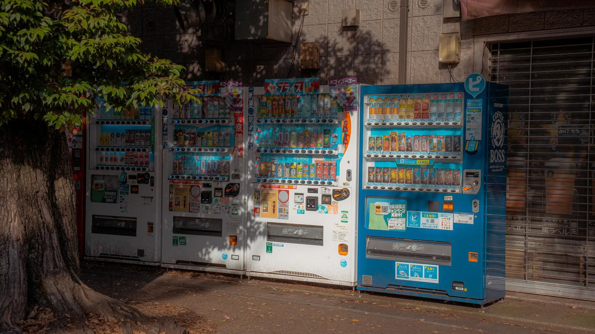 Photograph from japan