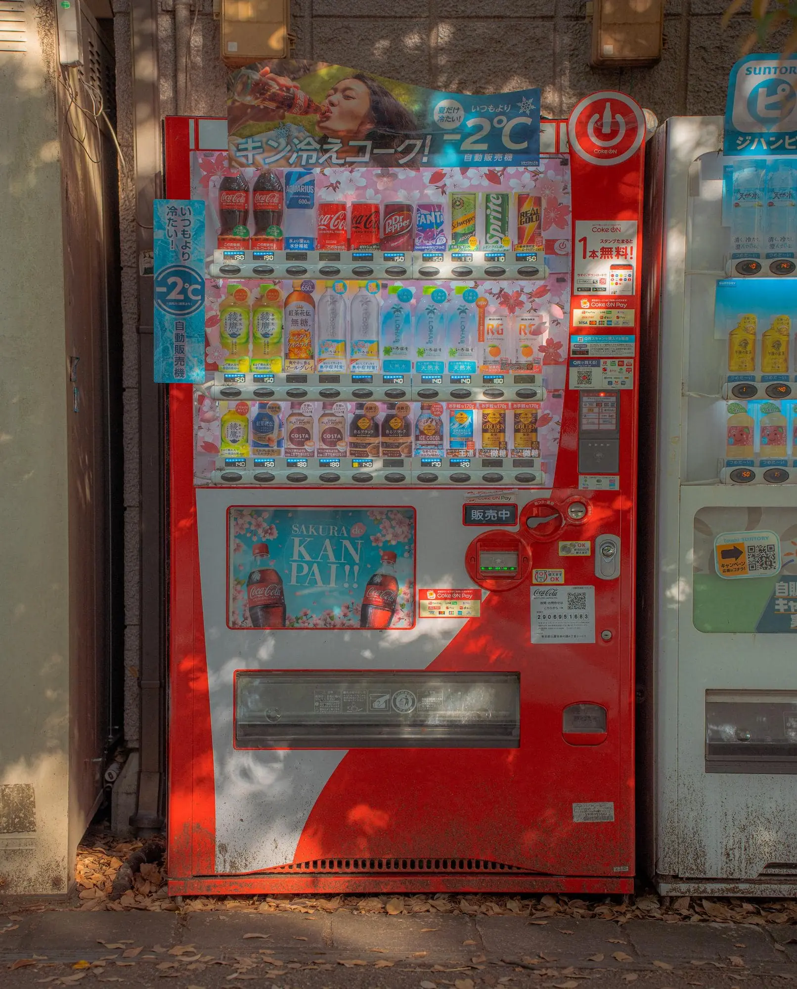 Photograph from japan