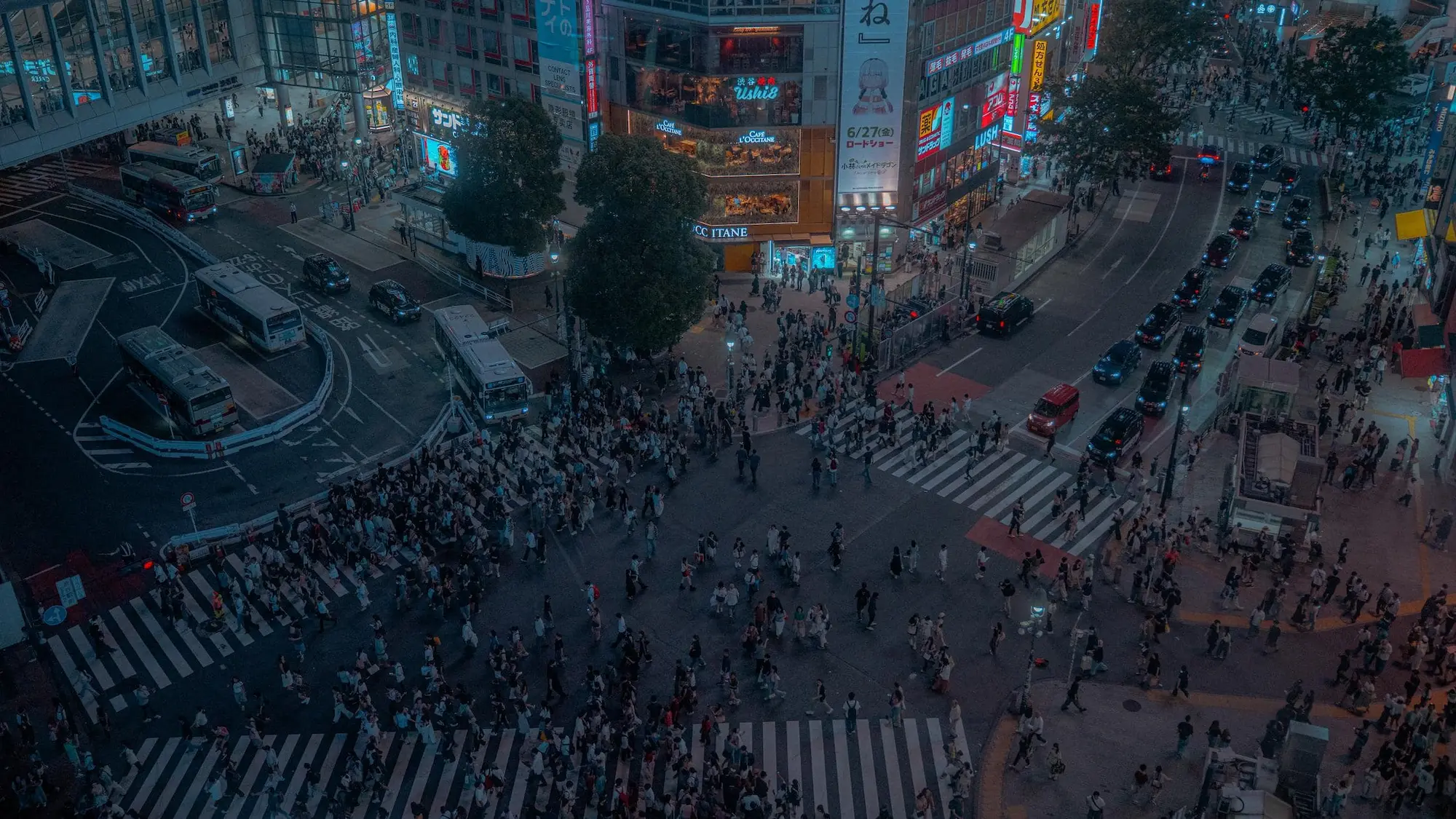 Photograph from japan