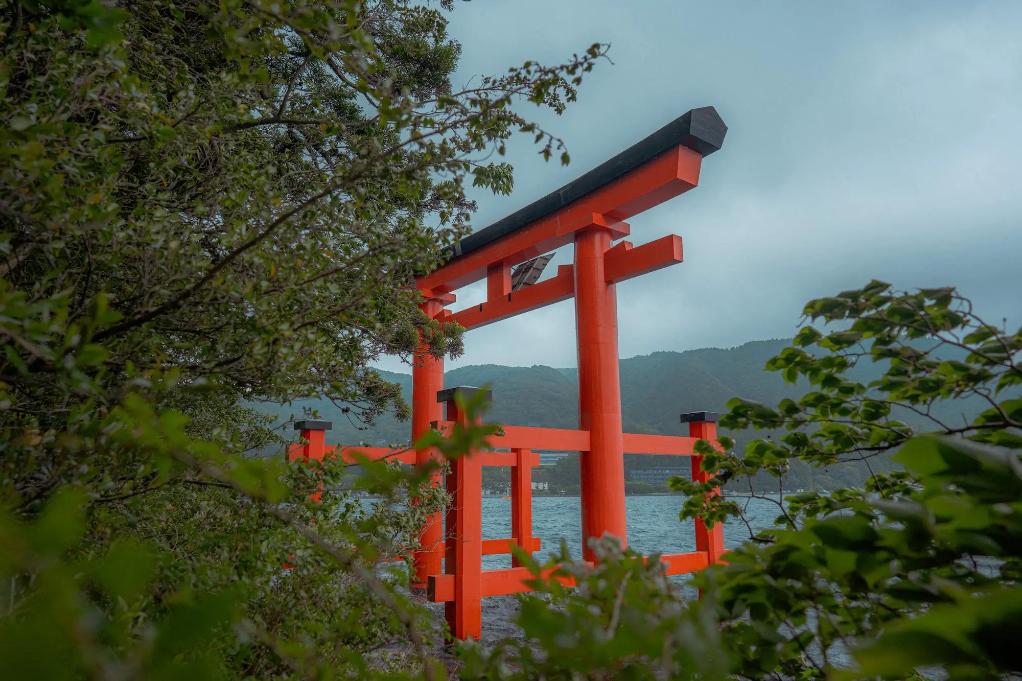 Photograph from japan