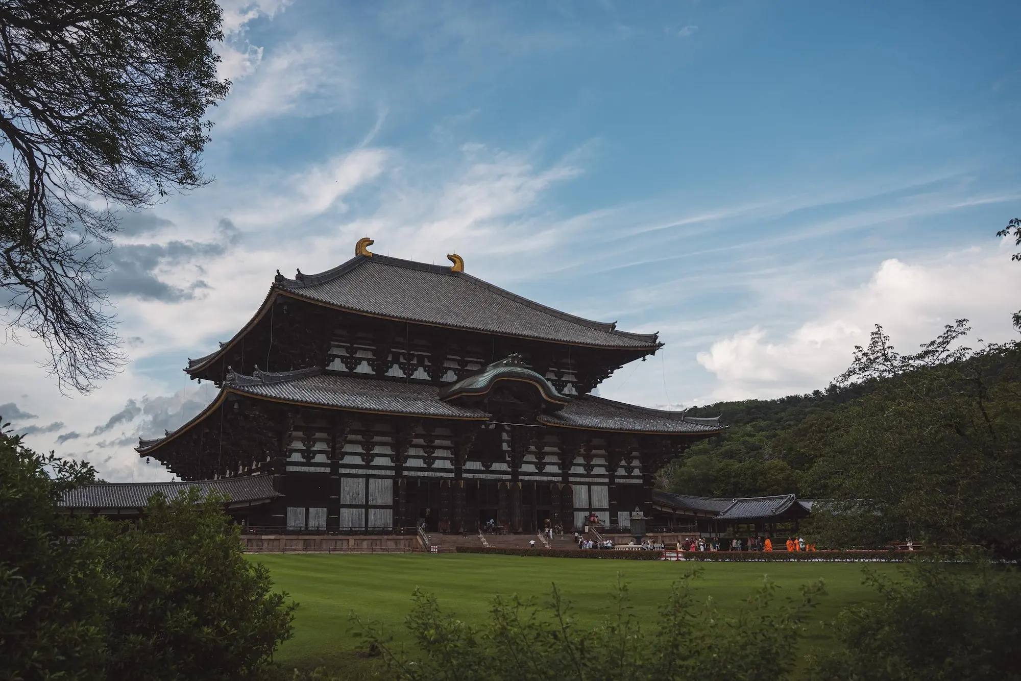 Photograph from japan