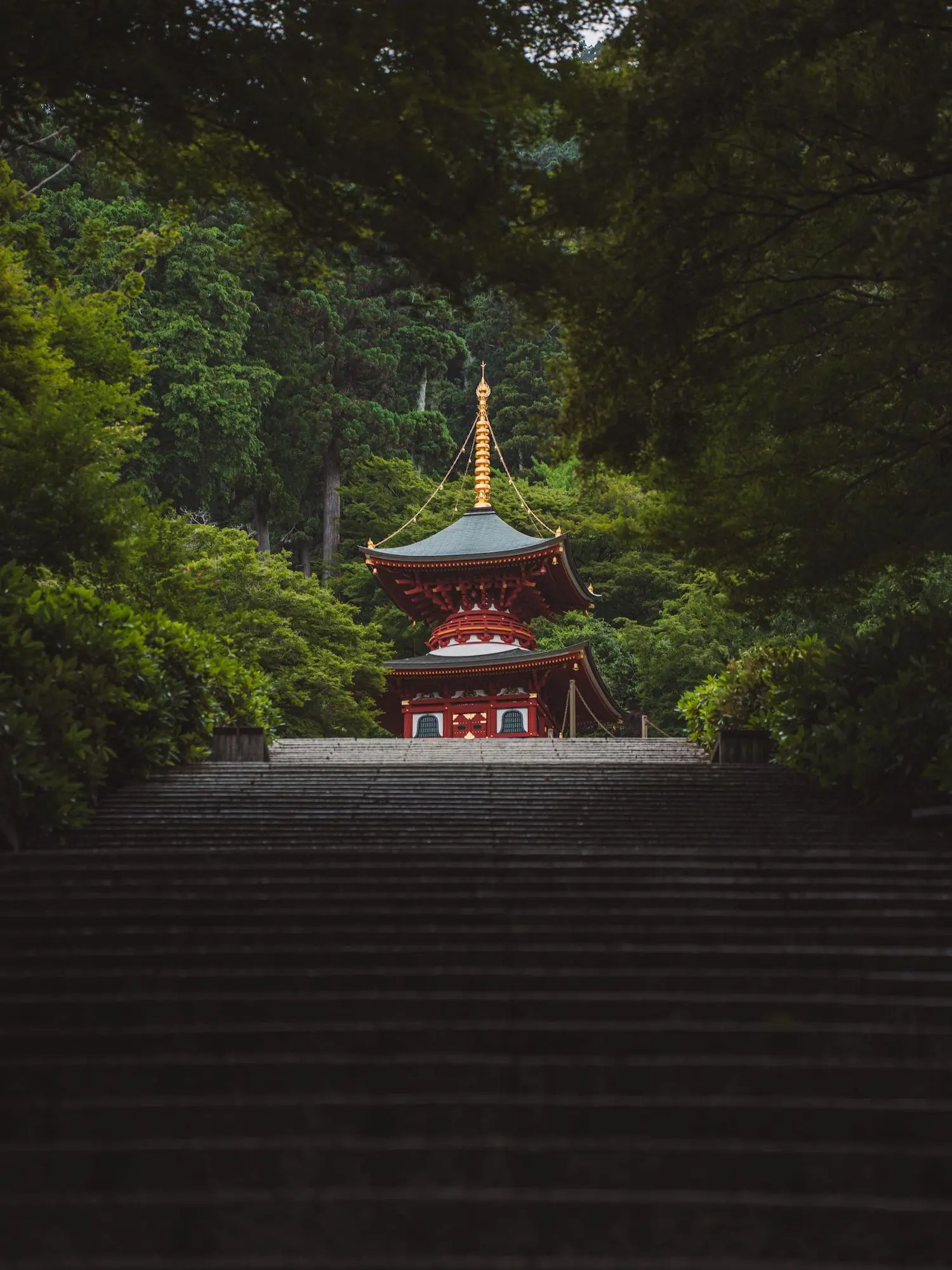 Photograph from japan
