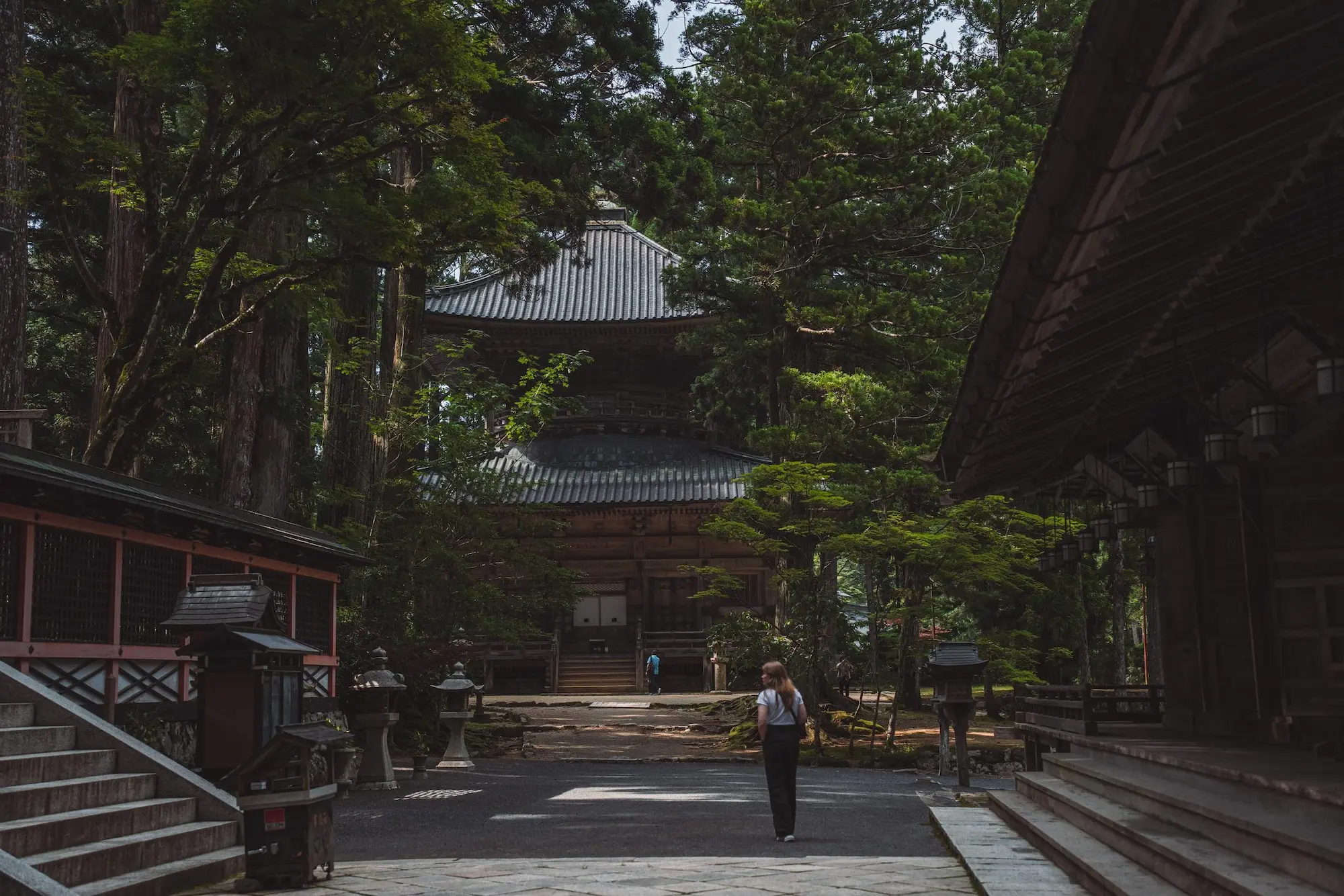 Photograph from japan