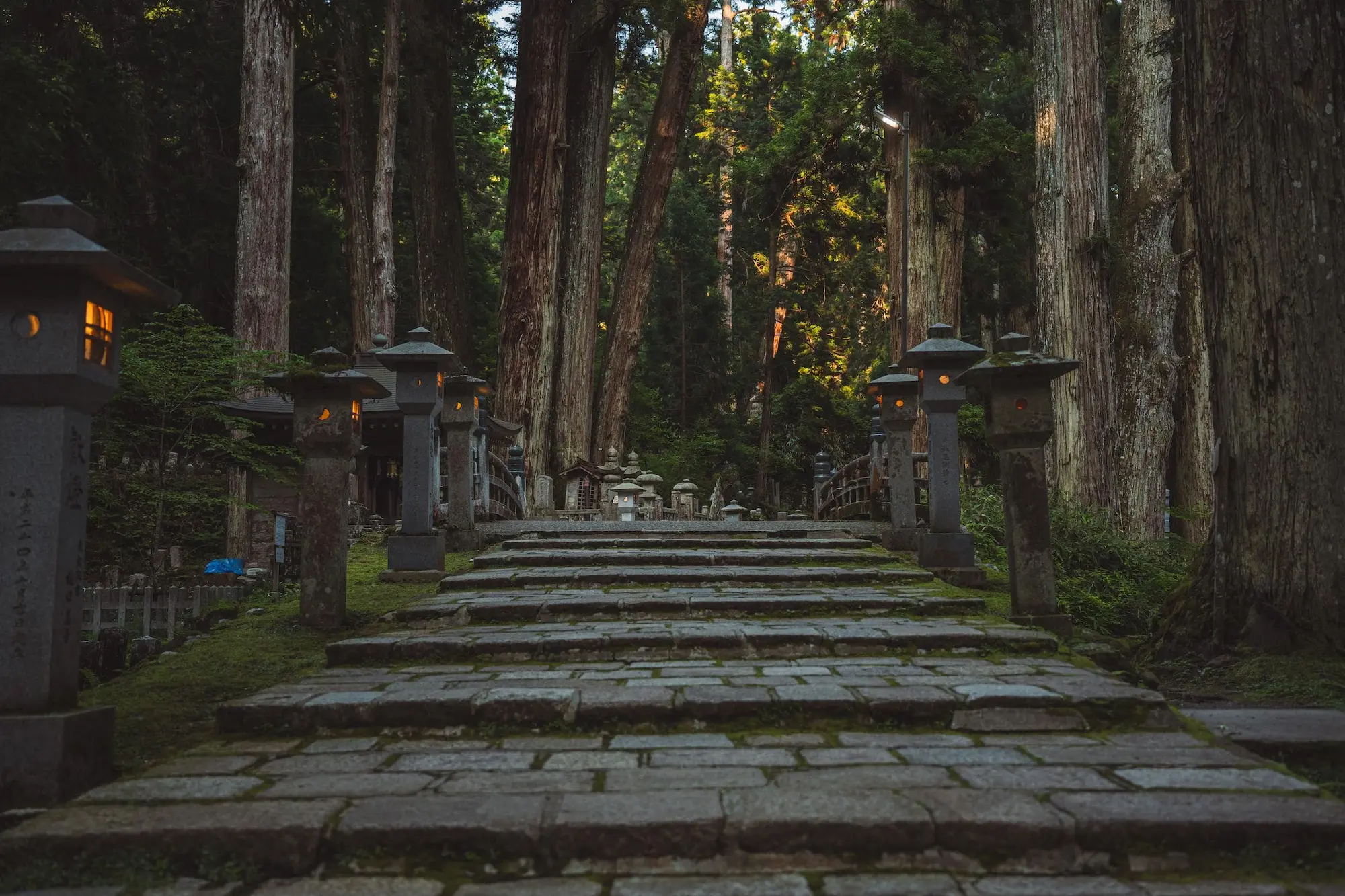 Photograph from japan