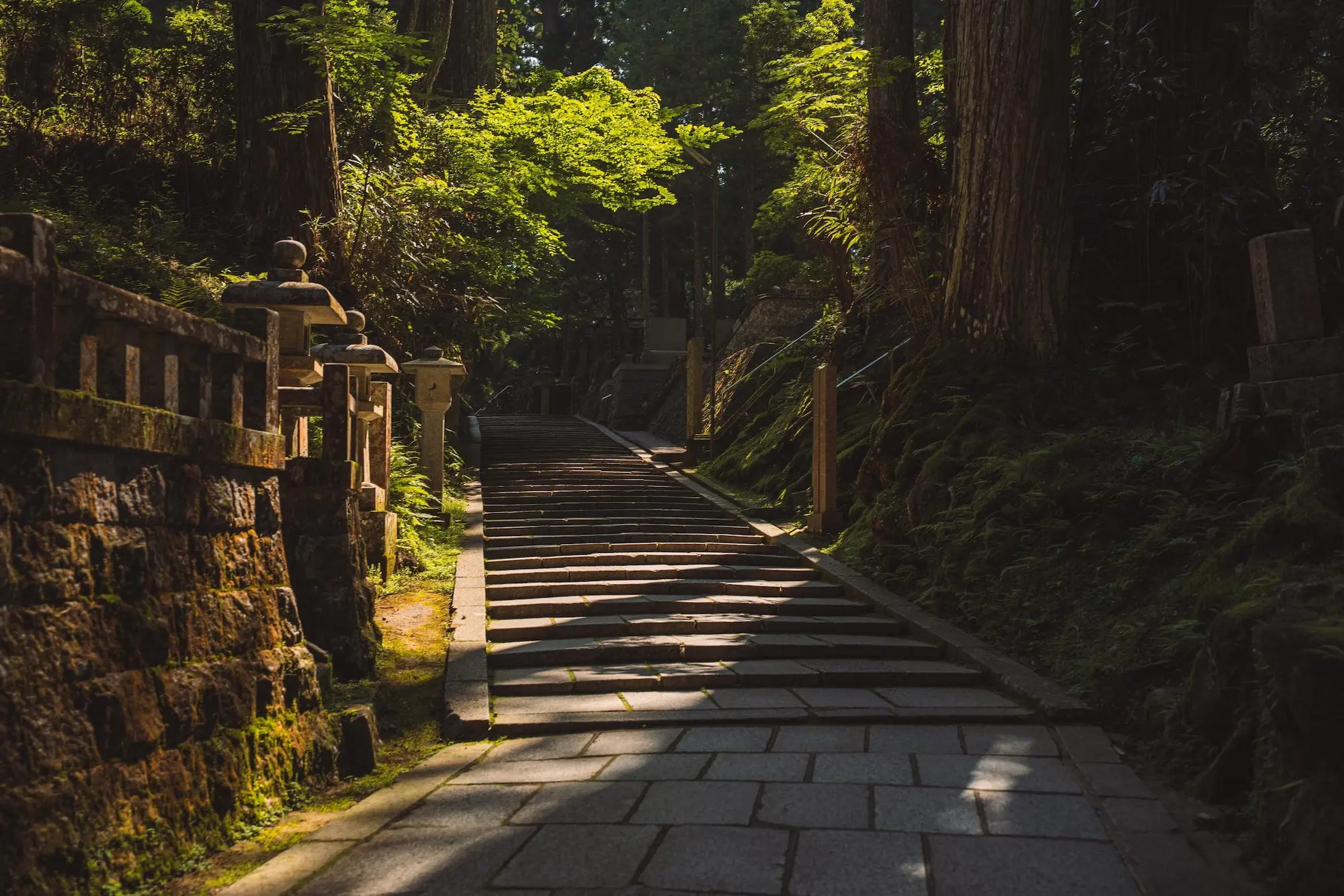 Photograph from japan
