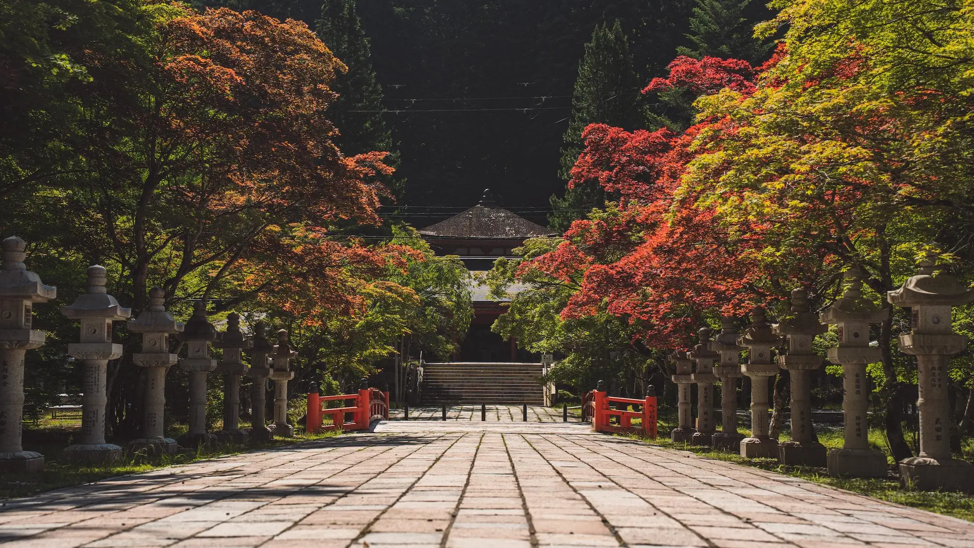 Photograph from japan