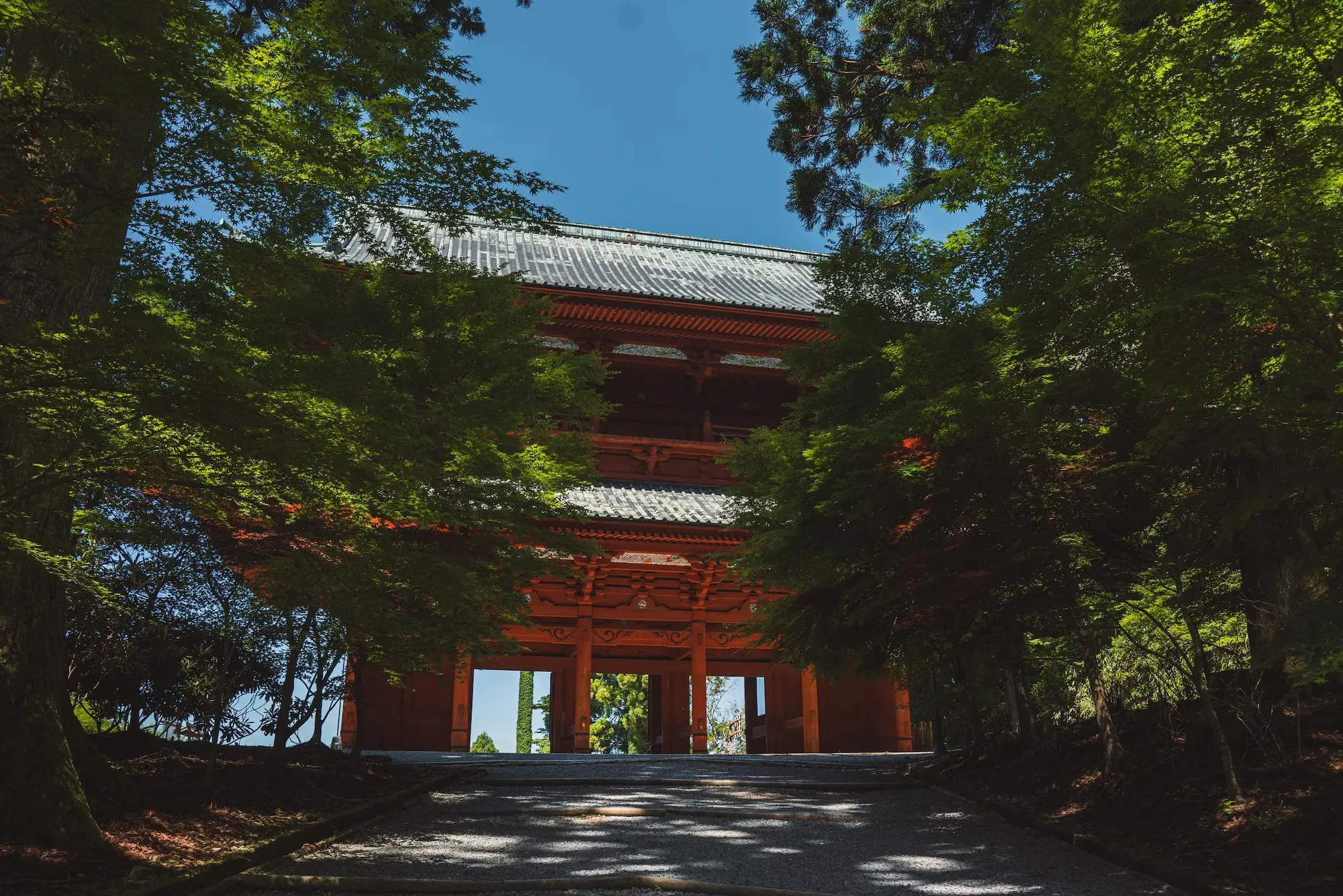 Photograph from japan