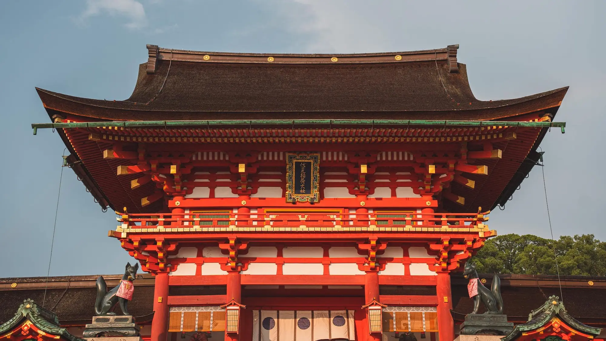 Photograph from japan