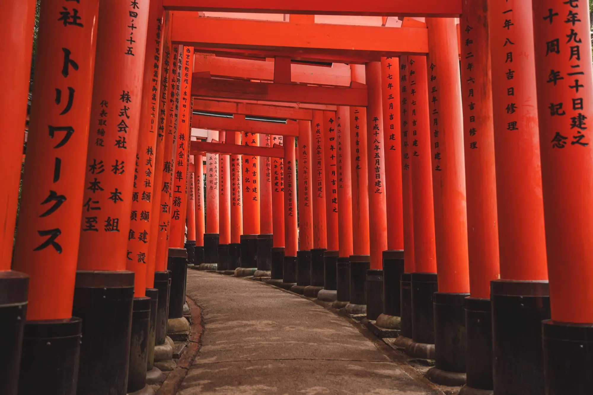 Photograph from japan