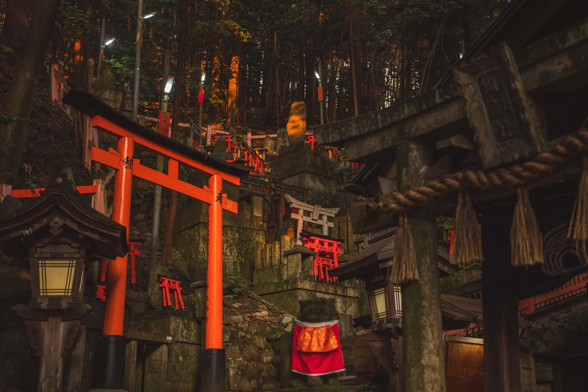 Photograph from japan