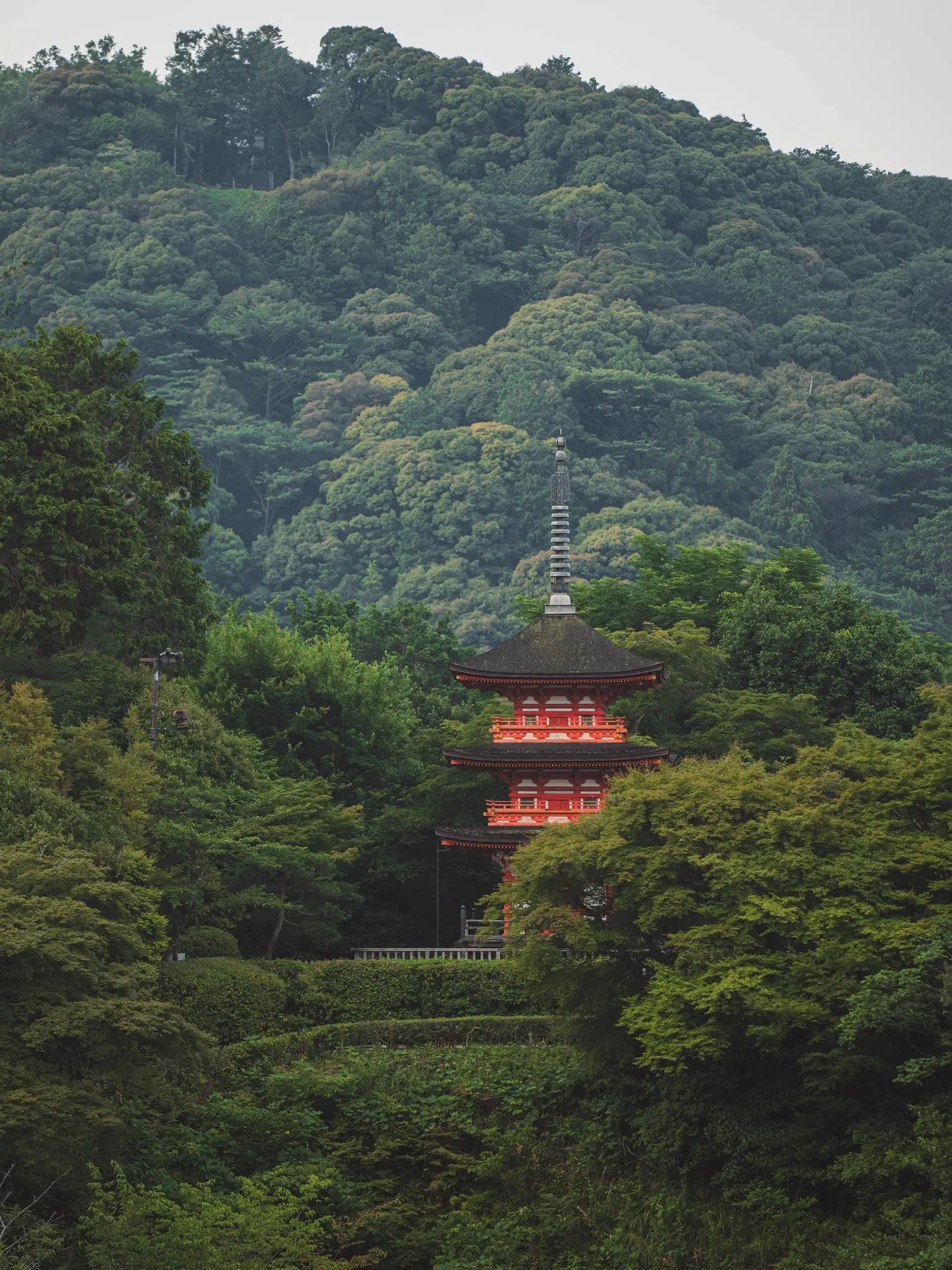 Photograph from japan