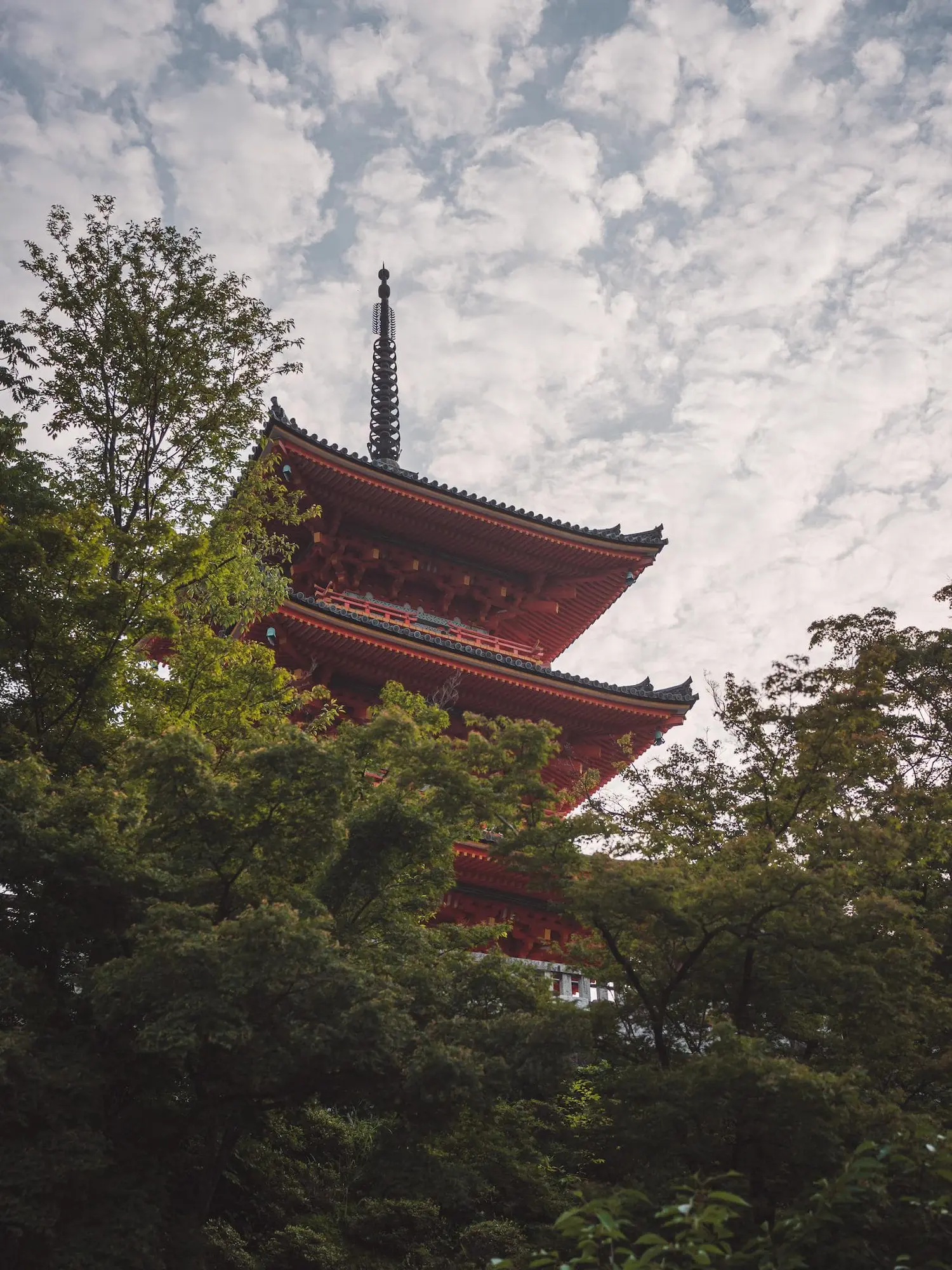 Photograph from japan