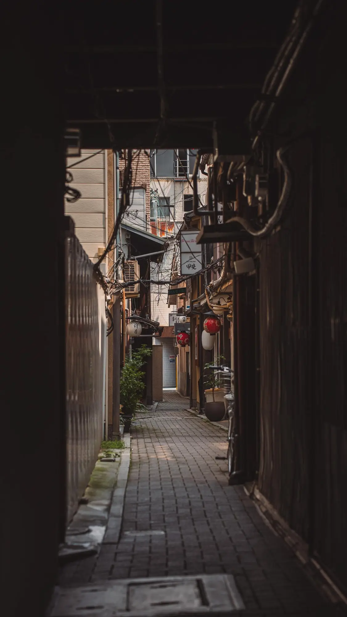 Photograph from japan