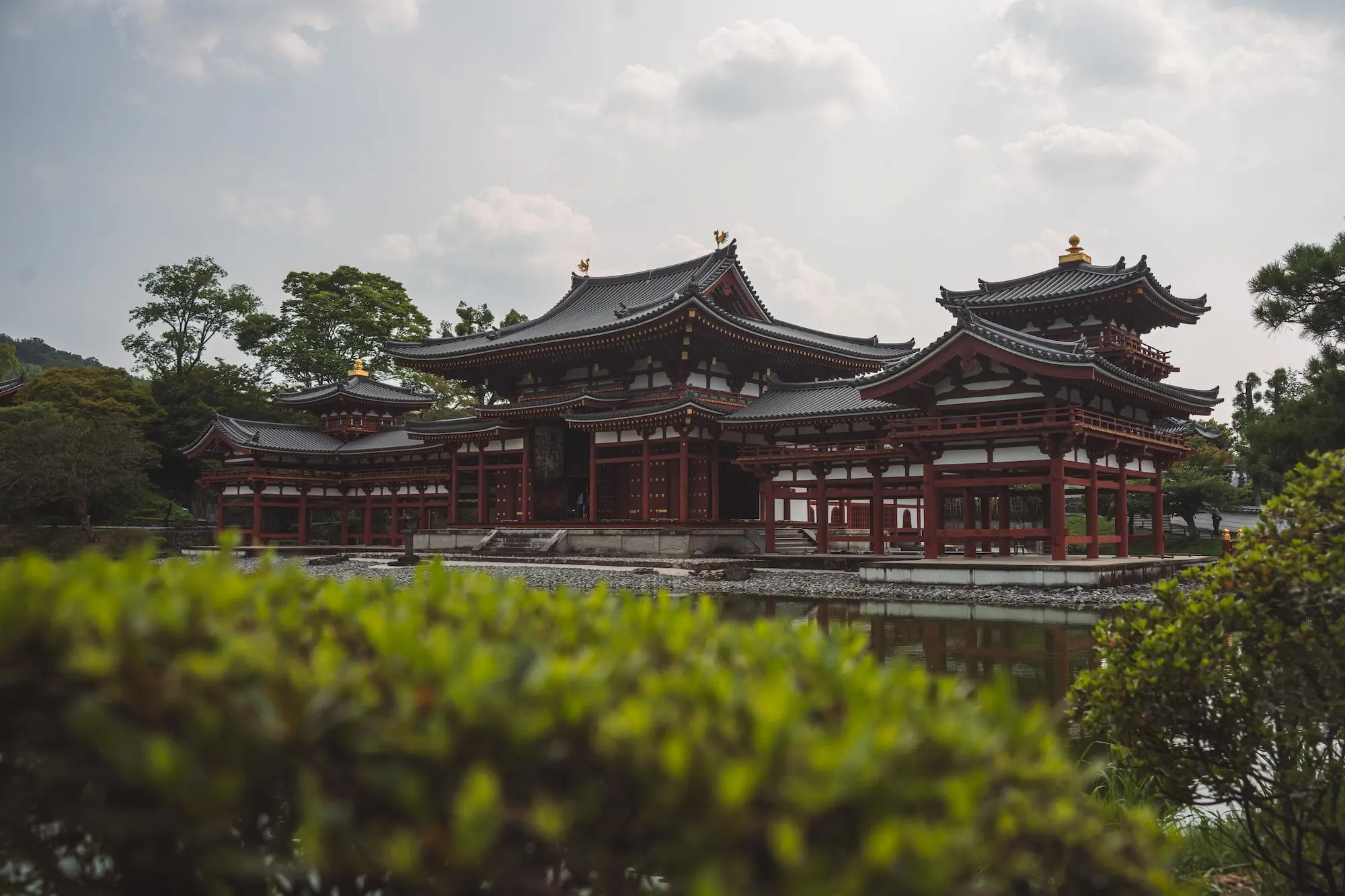 Photograph from japan