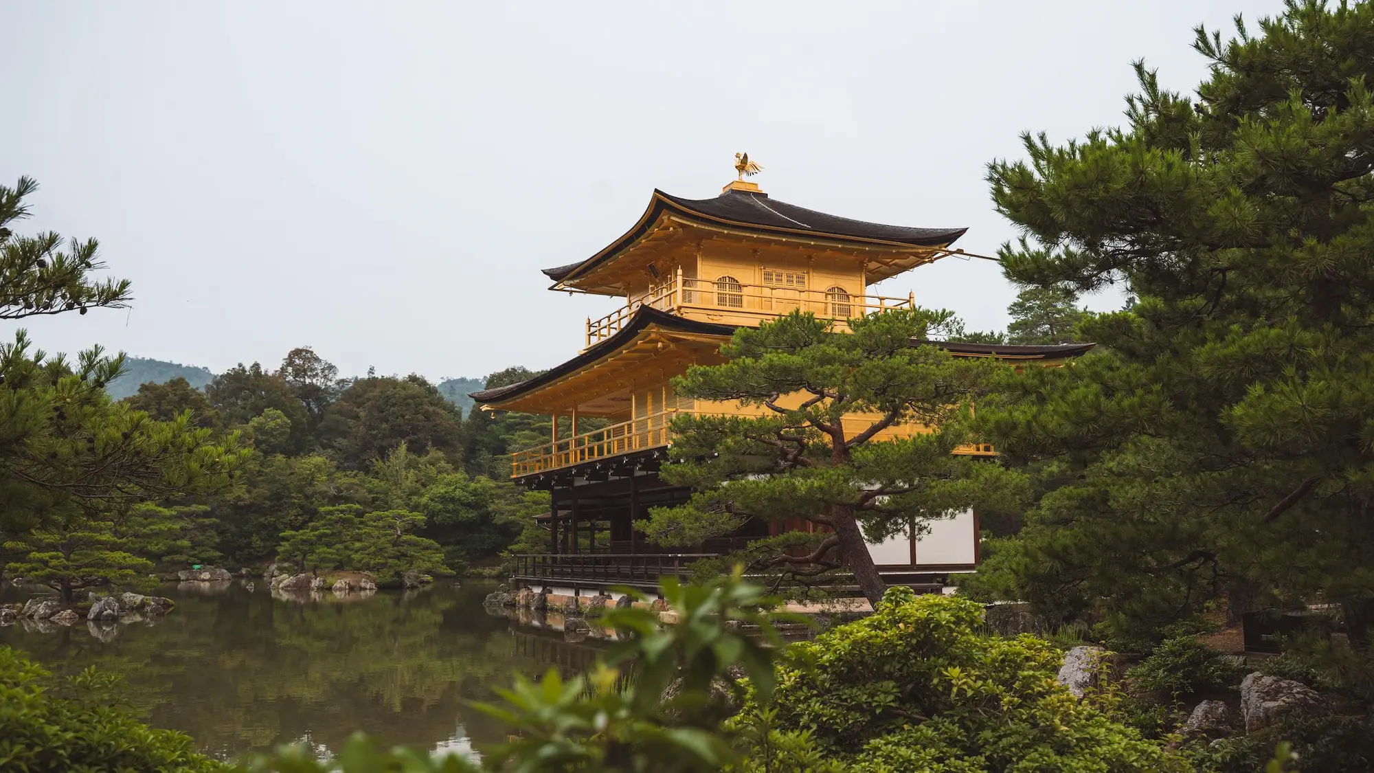Photograph from japan