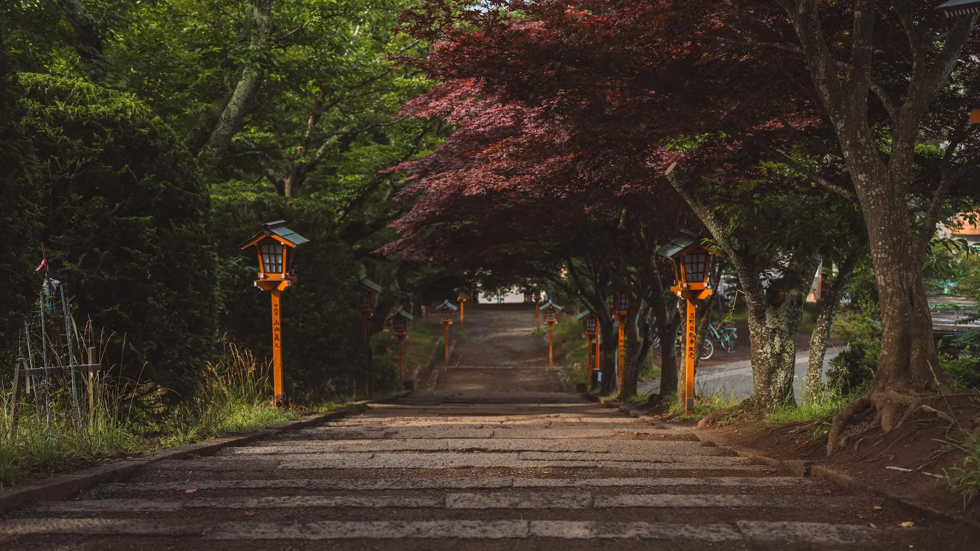 Photograph from japan