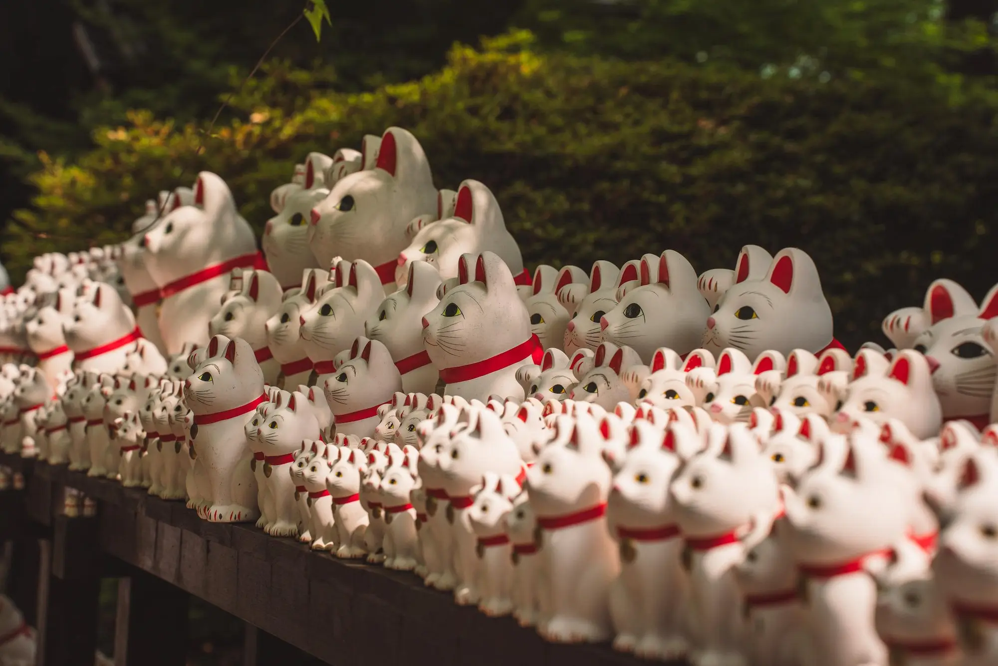 Photograph from japan