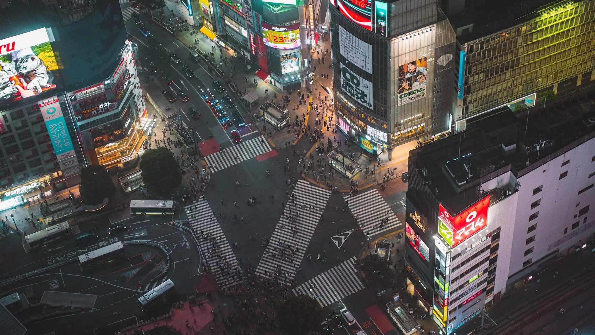 Photograph from japan