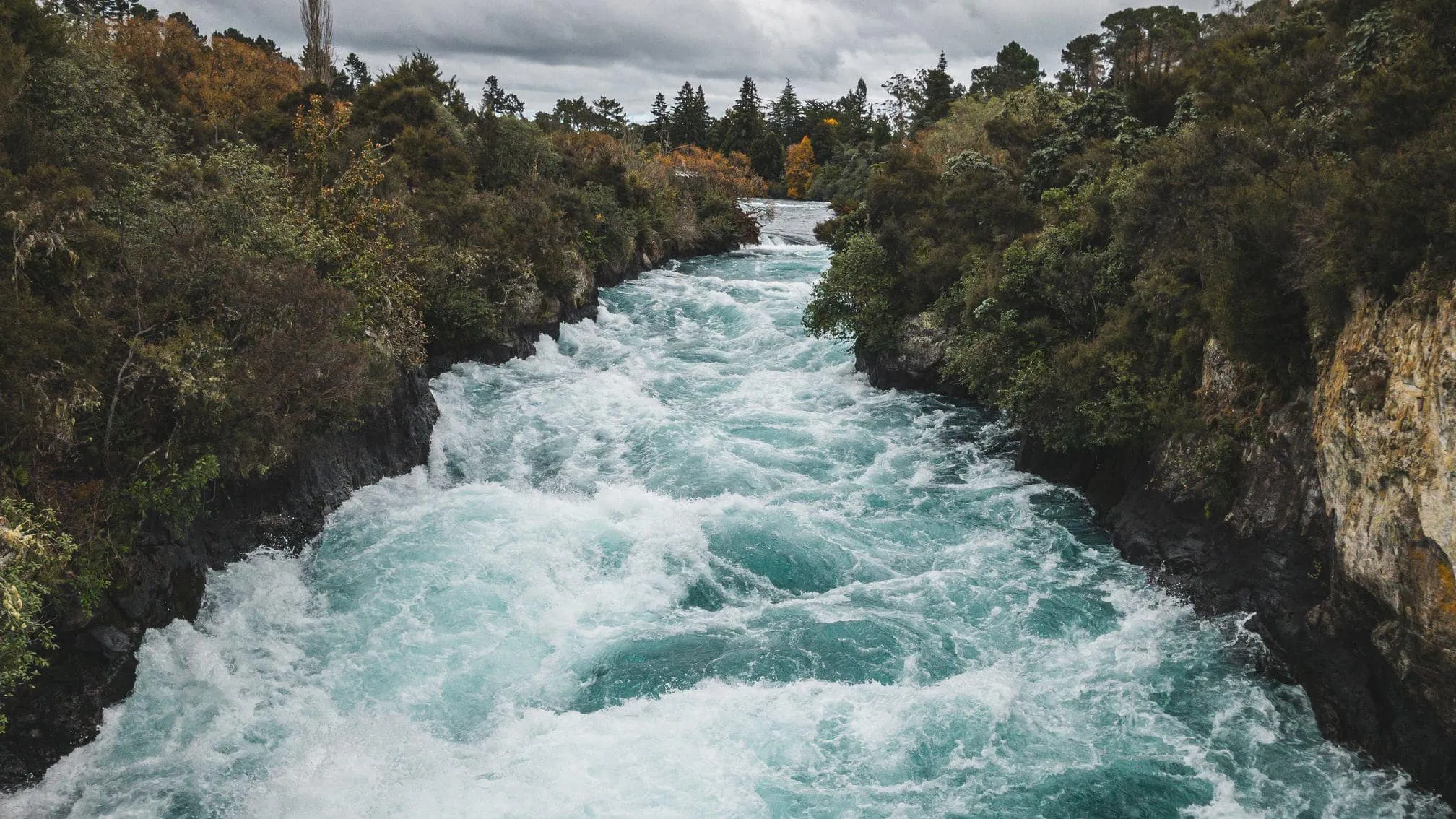 Photo from newzealand