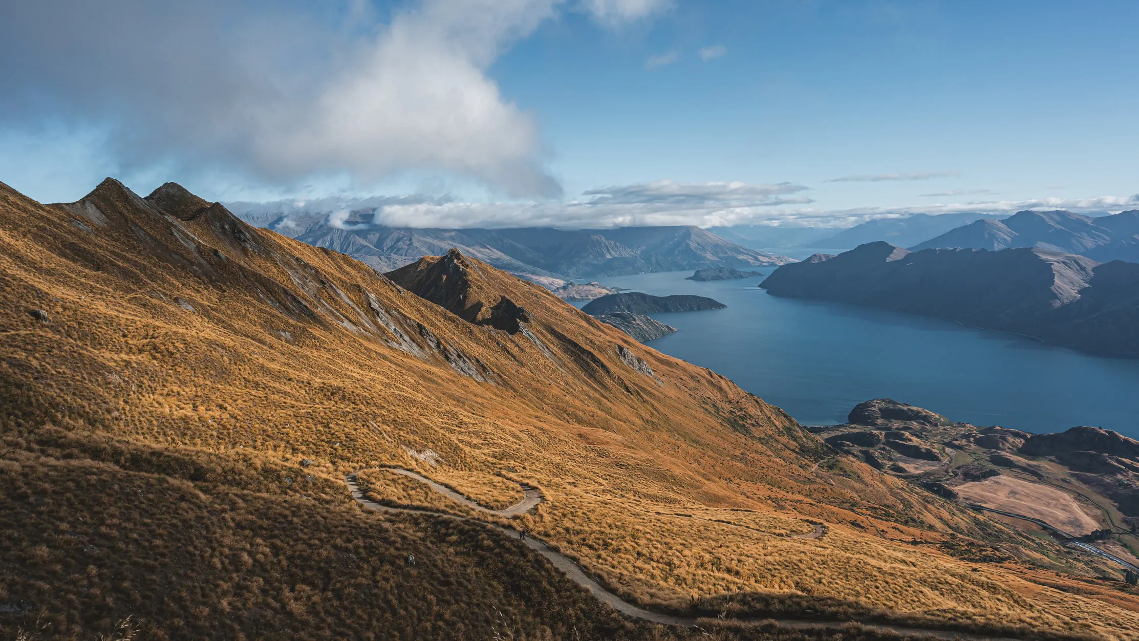 Photo from newzealand