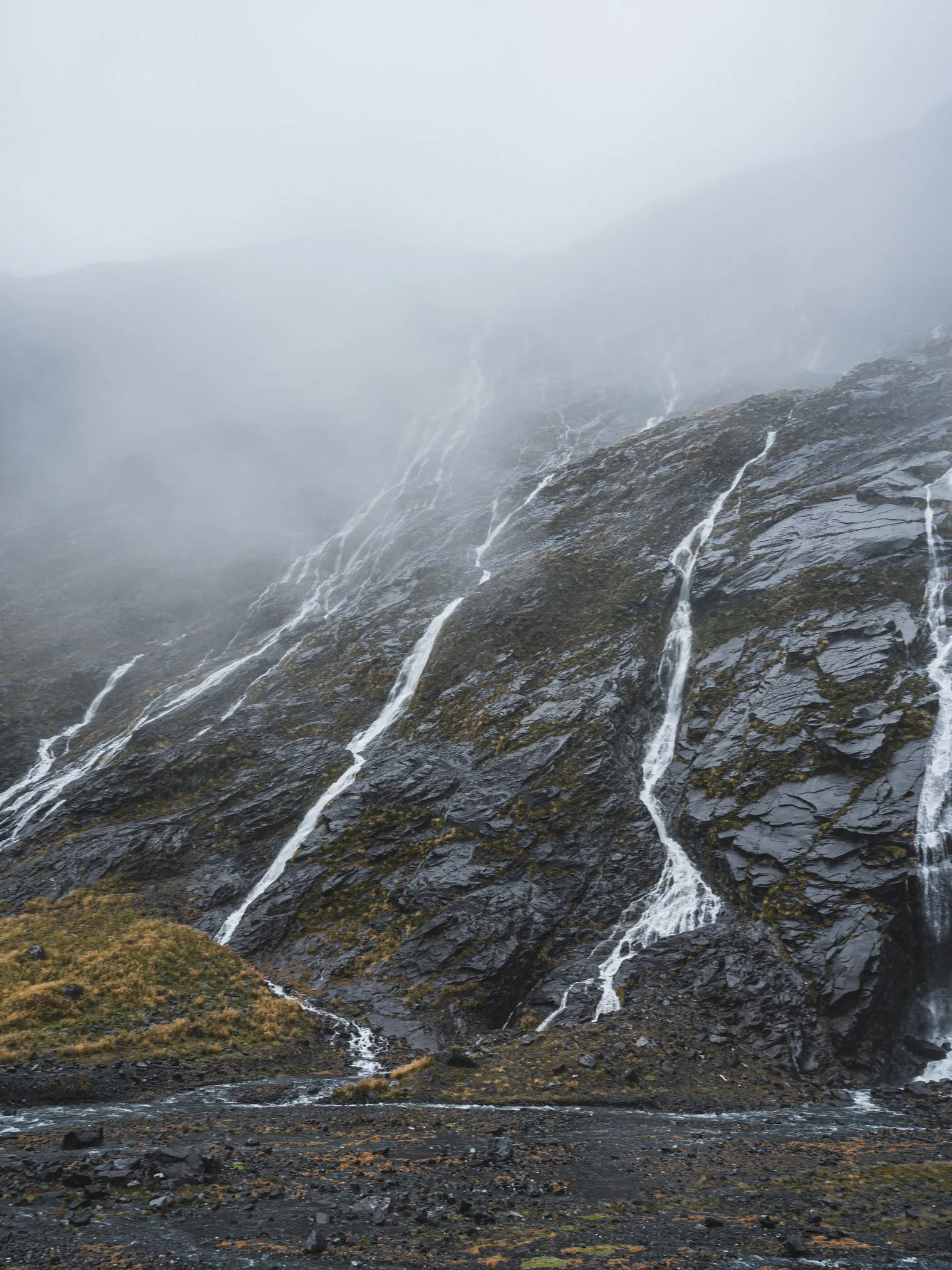 Photo from newzealand