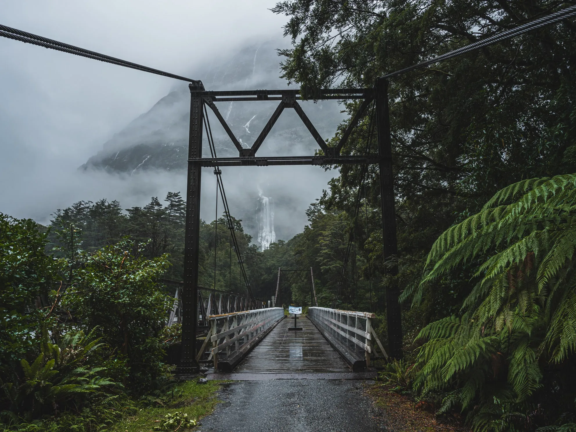 Photo from newzealand